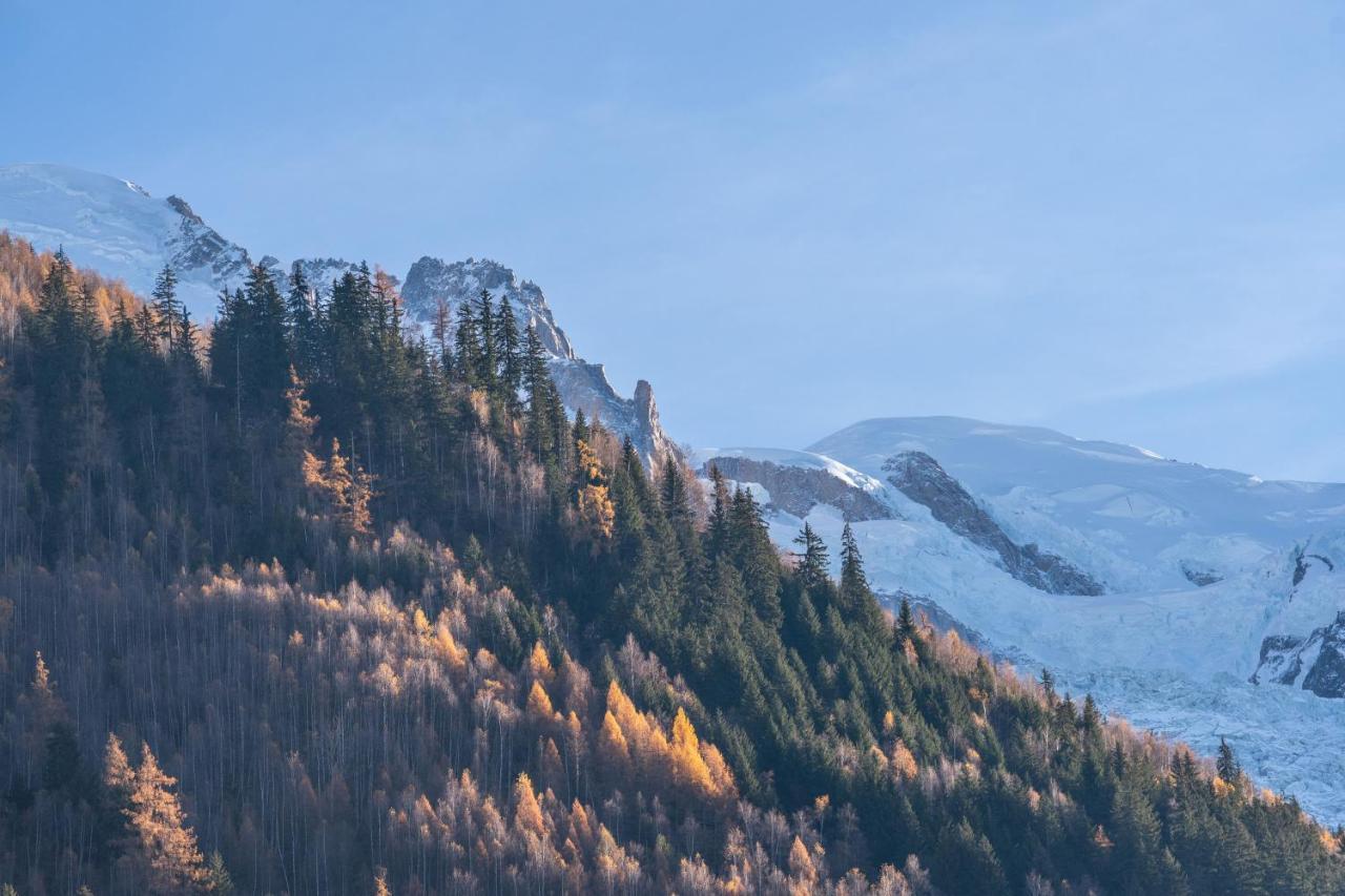 Chamonix Sud Studio With Mont Blanc Views ภายนอก รูปภาพ
